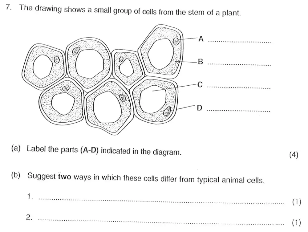 Question 13 - Exeter School - 13 Plus Biology Entrance Exam Paper