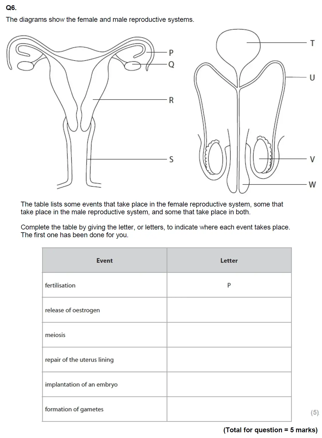 Question 13 - Glenalmond College - 13 Plus Biology Scholarship Exam Paper 2017