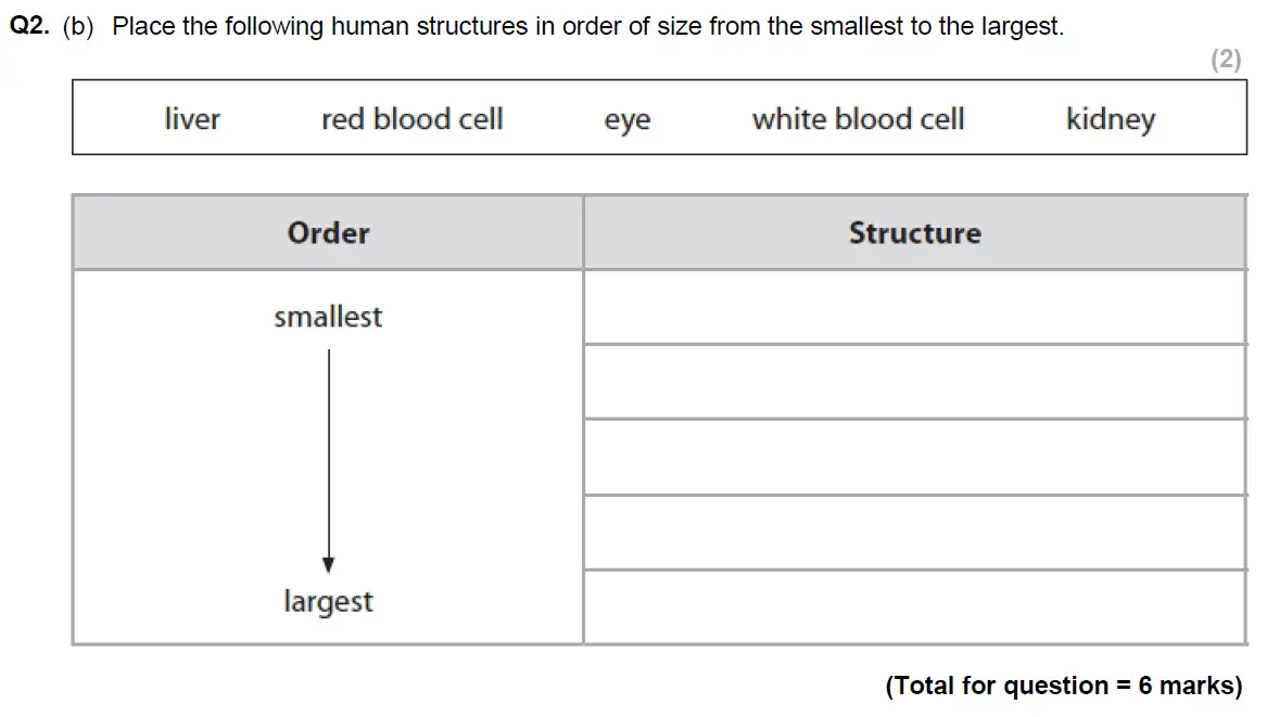 Question 3 - Glenalmond College - 13 Plus Biology Scholarship Exam Paper 2017