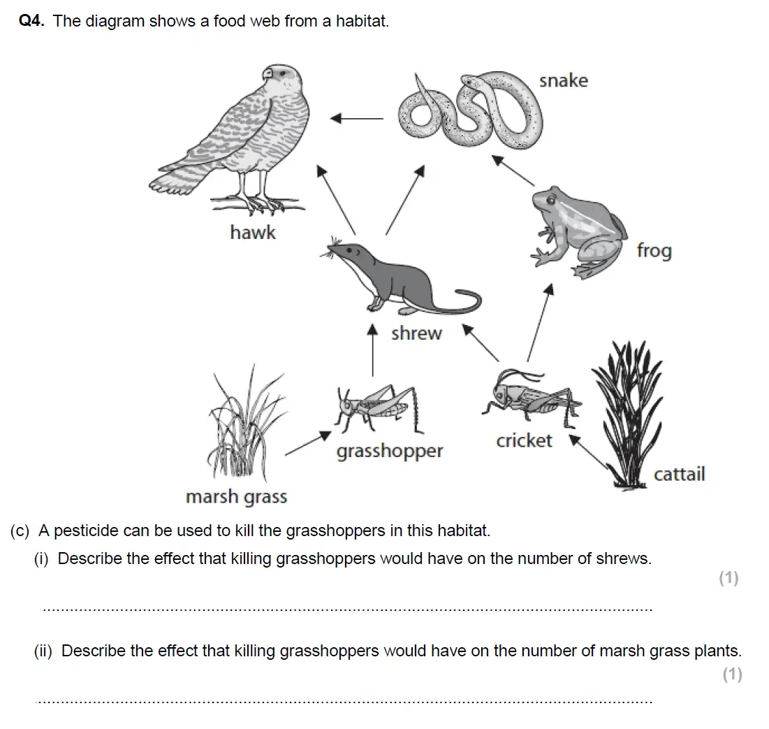 Question 8 - Glenalmond College - 13 Plus Biology Scholarship Exam Paper 2017