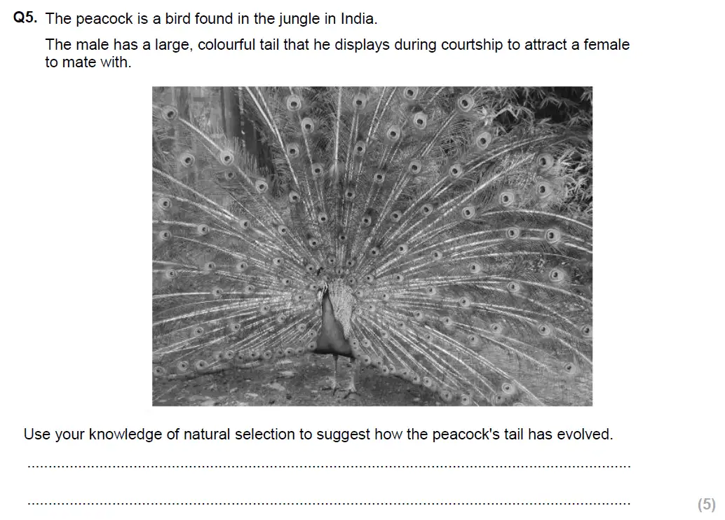 Question 13 - Glenalmond College - 13 Plus Biology Scholarship Exam Paper 2018