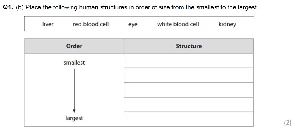 Question 2 - Glenalmond College - 13 Plus Biology Scholarship Exam Paper 2018
