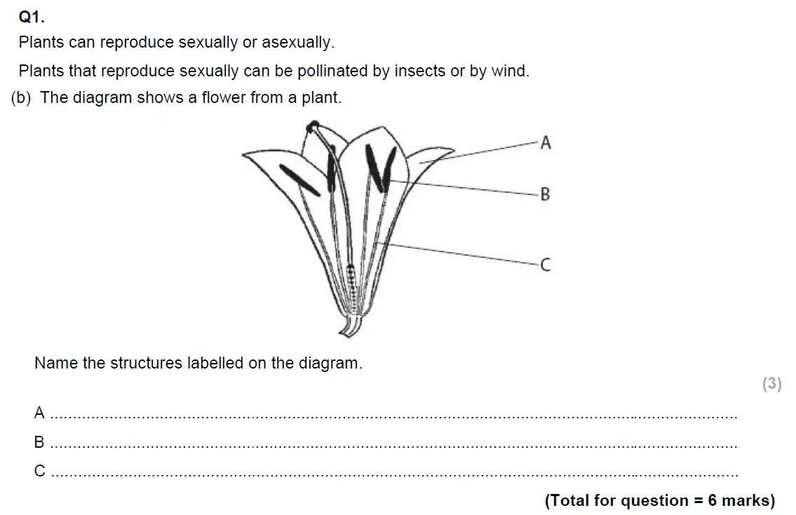 Question 2 - Glenalmond College - 13 Plus Biology Scholarship Exam Paper 2020