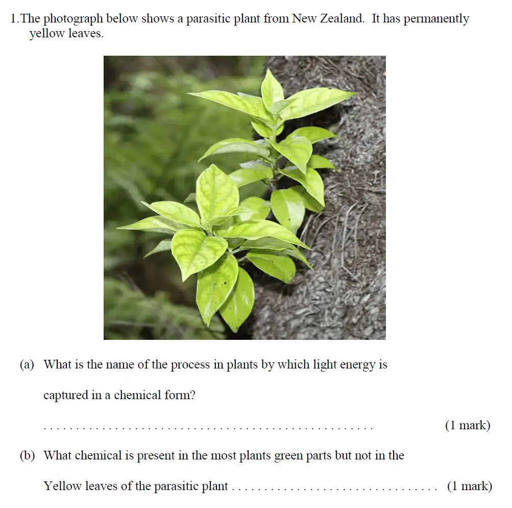 Question 1 - Haberdashers Askes School - 13 Plus Biology Exam Paper 2015
