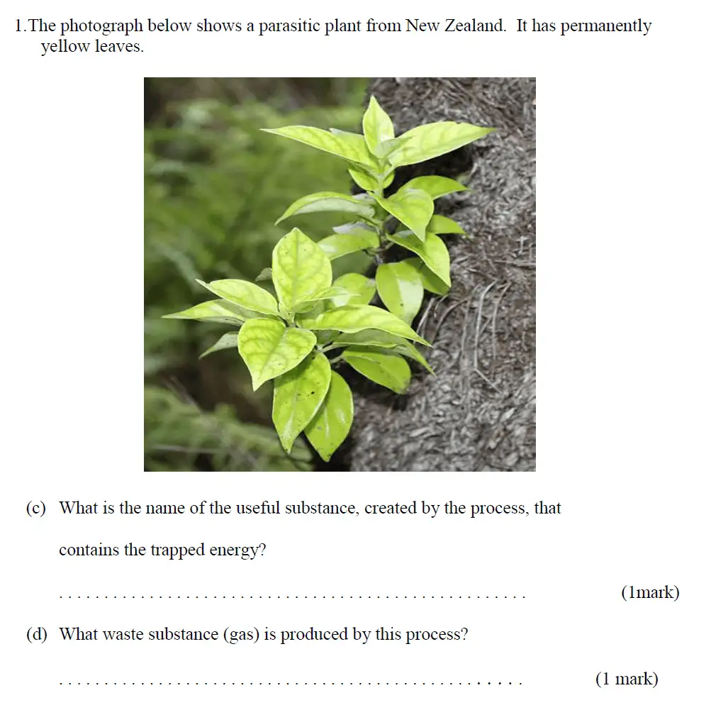 Question 2 - Haberdashers Askes School - 13 Plus Biology Exam Paper 2015