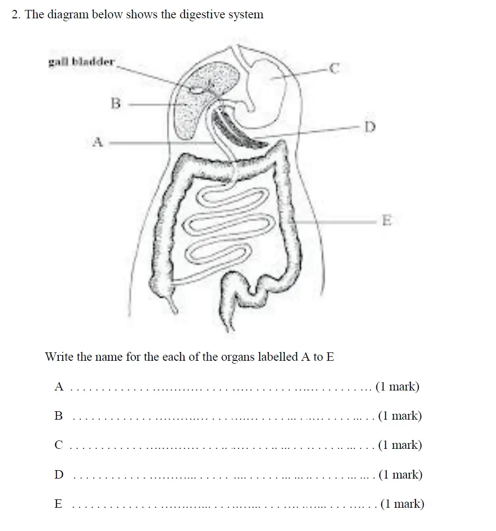 Question 3 - Haberdashers Askes School - 13 Plus Biology Exam Paper 2015