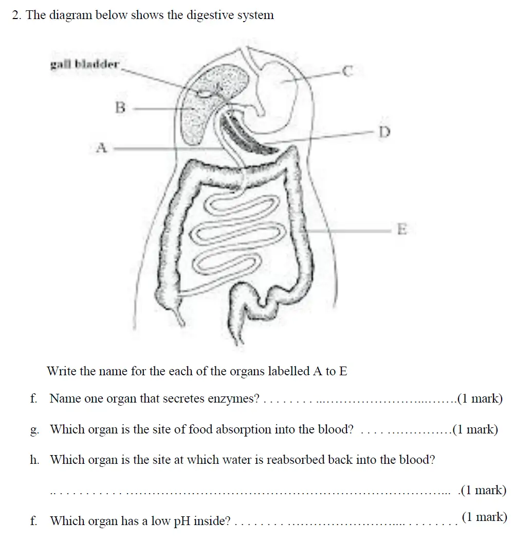 Question 4 - Haberdashers Askes School - 13 Plus Biology Exam Paper 2015