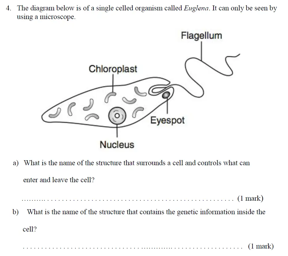 Question 6 - Haberdashers Askes School - 13 Plus Biology Exam Paper 2015