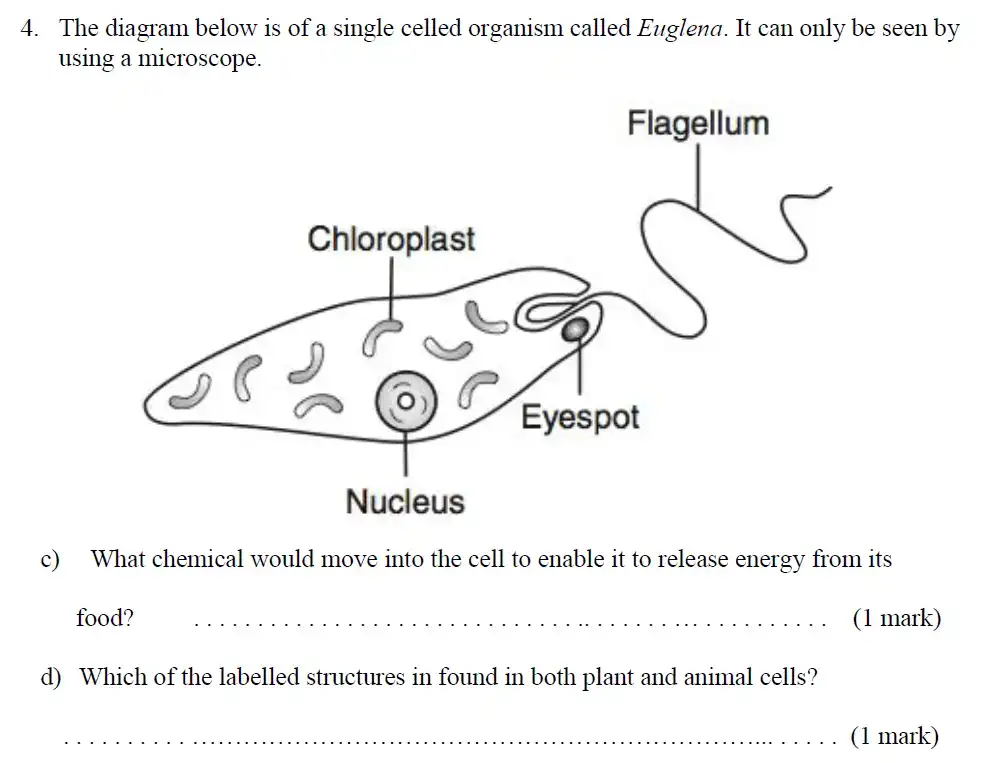 Question 7 - Haberdashers Askes School - 13 Plus Biology Exam Paper 2015