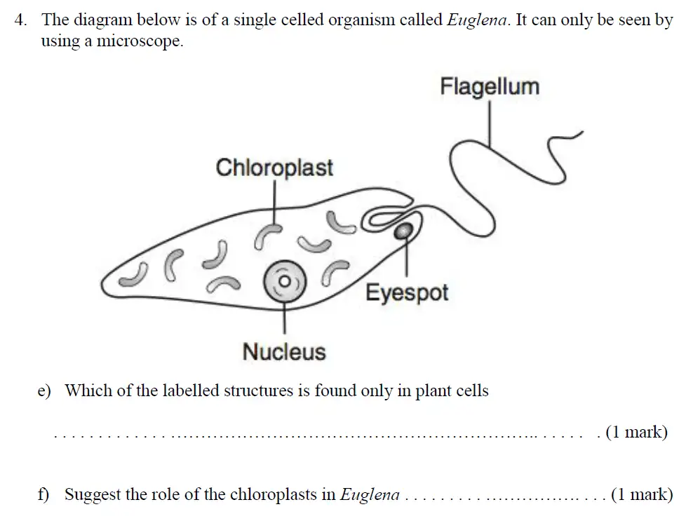 Question 8 - Haberdashers Askes School - 13 Plus Biology Exam Paper 2015