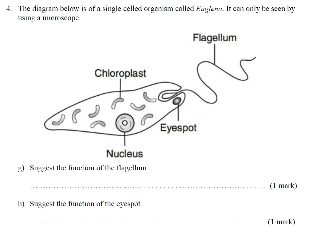 Question 9 - Haberdashers Askes School - 13 Plus Biology Exam Paper 2015