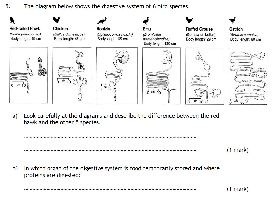 Question 10 - Habs School - 13 Plus Biology Entrance Exam Paper 2016