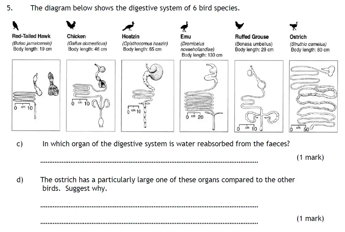 Question 11 - Habs School - 13 Plus Biology Entrance Exam Paper 2016