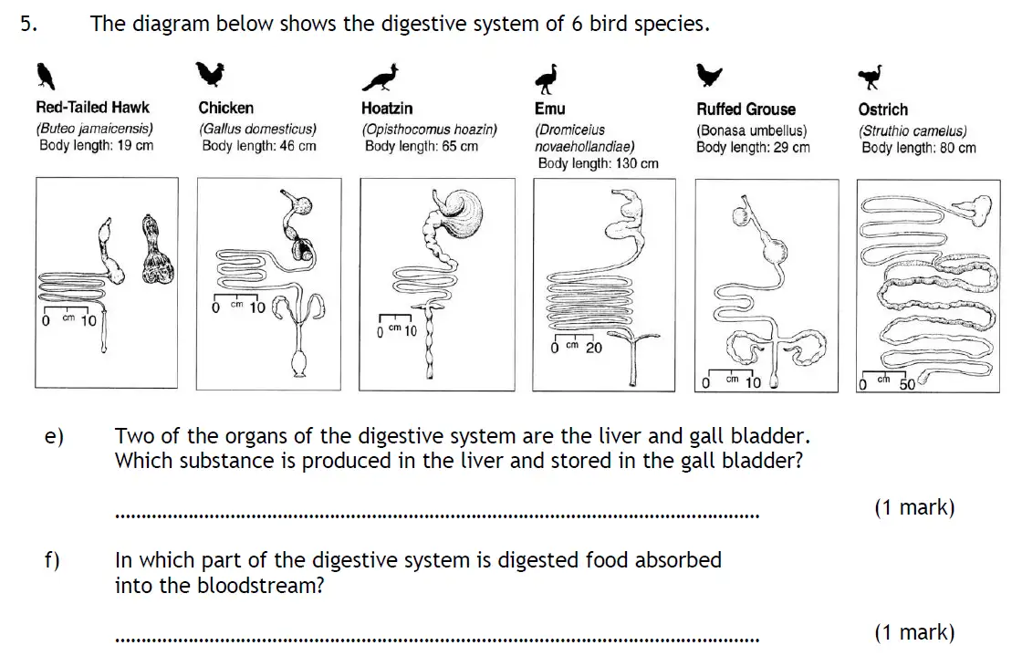 Question 12 - Habs School - 13 Plus Biology Entrance Exam Paper 2016
