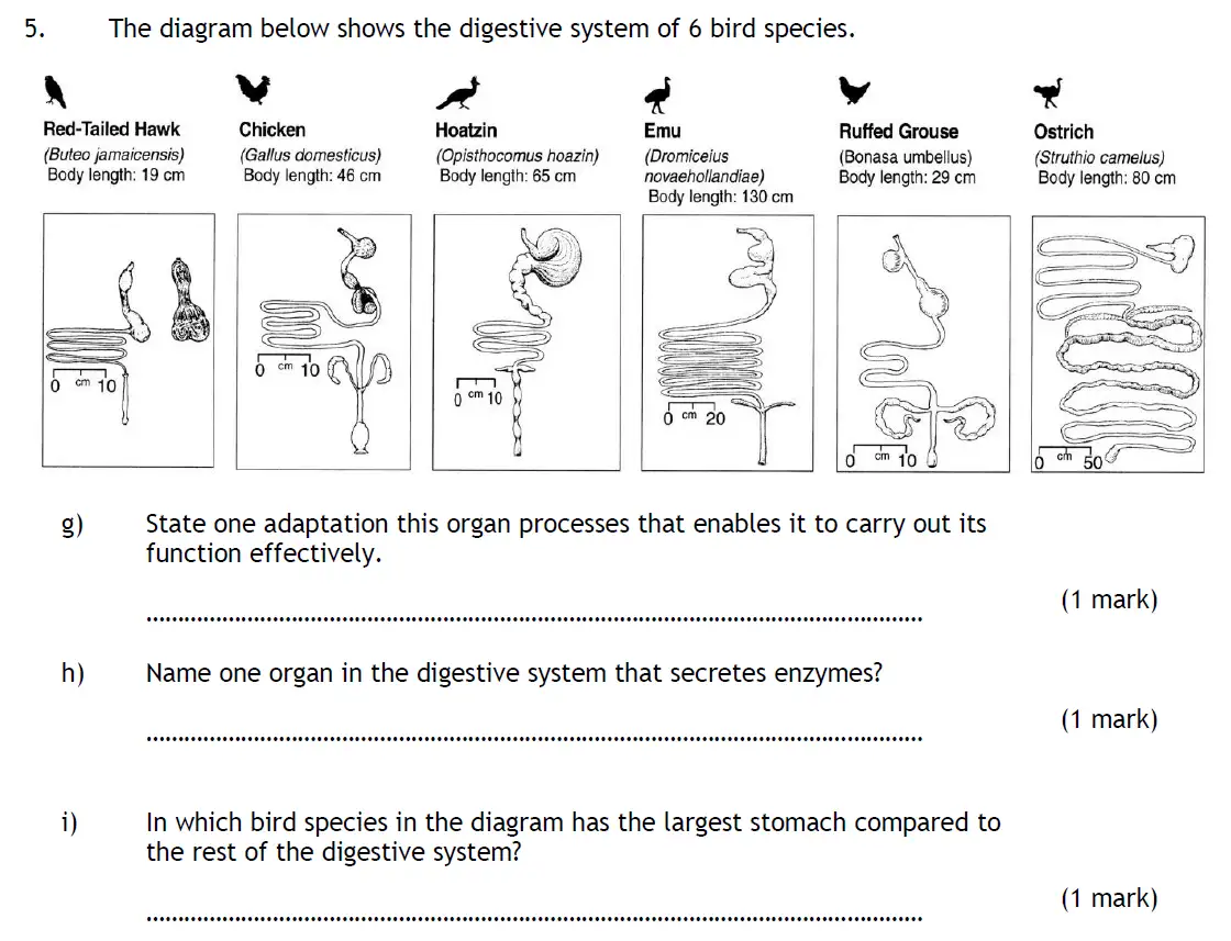 Question 13 - Habs School - 13 Plus Biology Entrance Exam Paper 2016