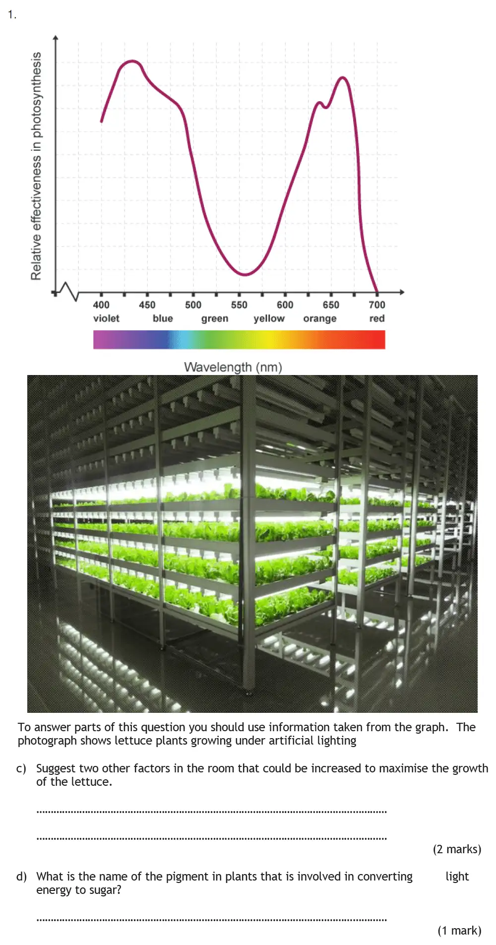 Question 2 - Habs School - 13 Plus Biology Entrance Exam Paper 2016
