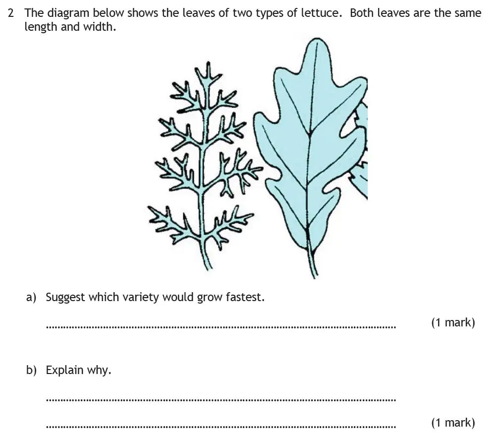 Question 3 - Habs School - 13 Plus Biology Entrance Exam Paper 2016
