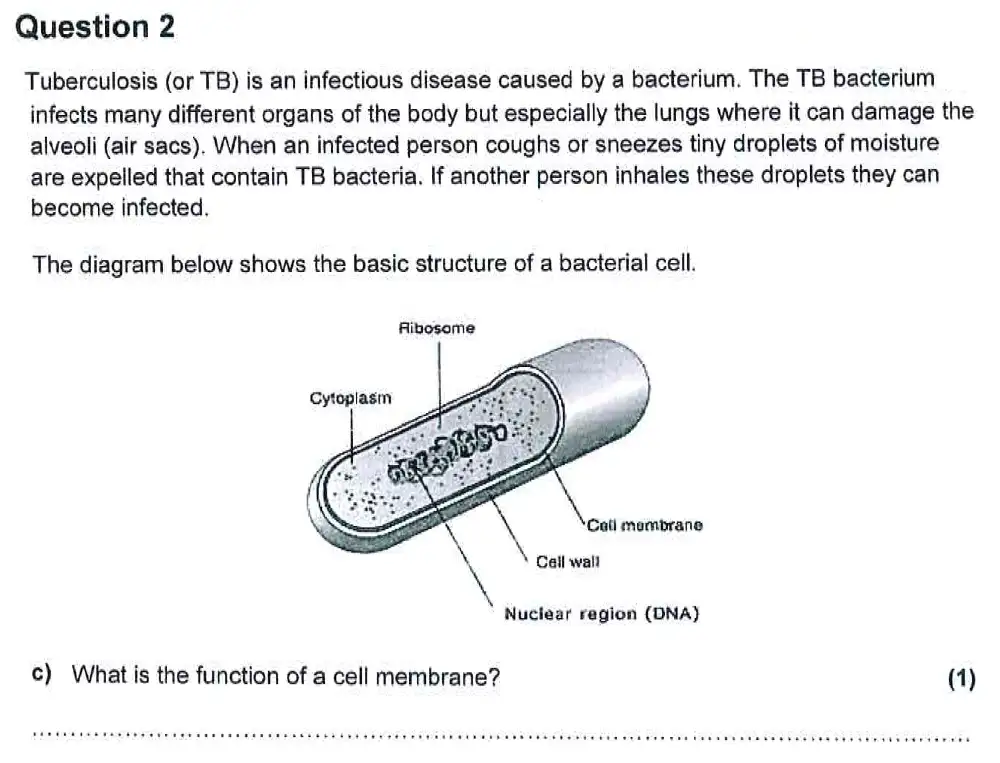 Question 8 - Harrow School - 13 Plus Biology Scholarship Sample Paper 2 - 2015