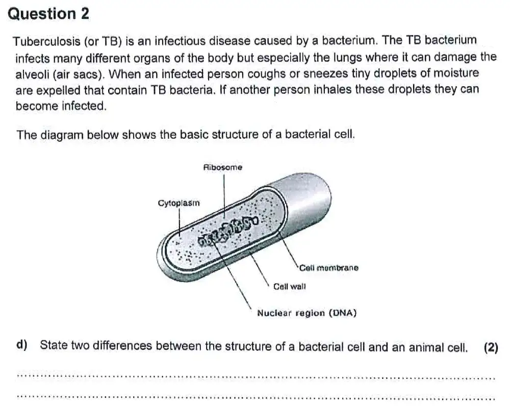 Question 9 - Harrow School - 13 Plus Biology Scholarship Sample Paper 2 - 2015