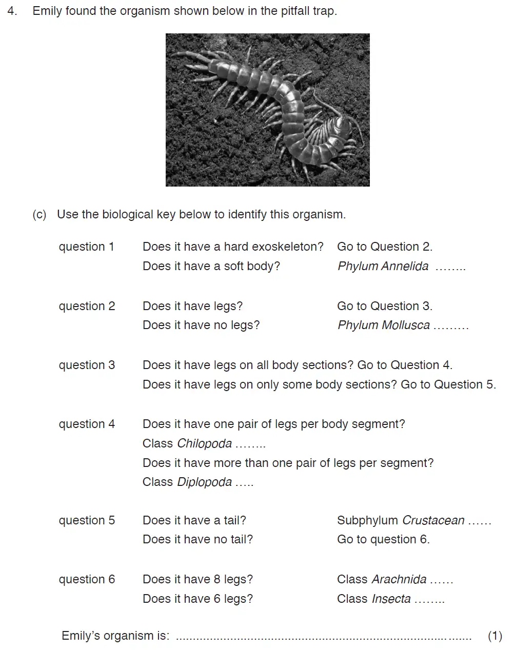 Question 13 - ISEB Level 2 - 13 Plus Biology Exam Paper 2017