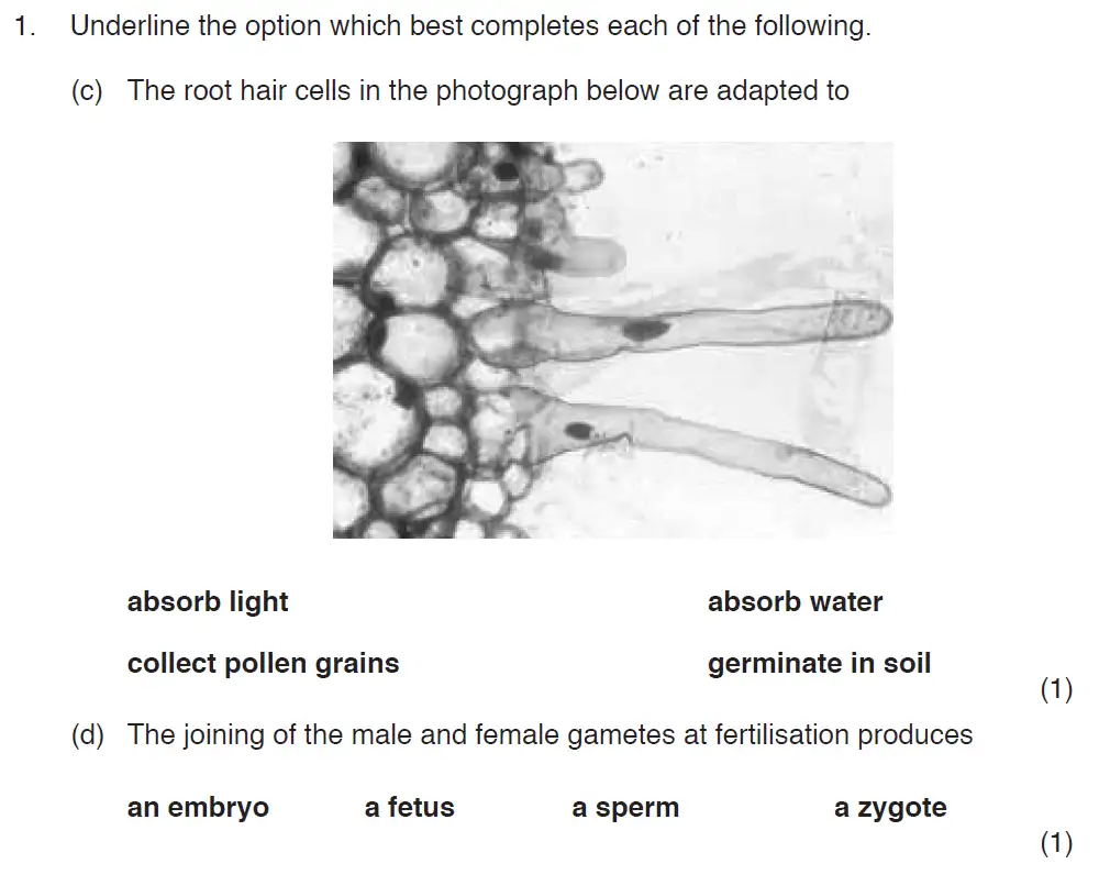Question 2 - ISEB Level 2 - 13 Plus Biology Exam Paper 2017