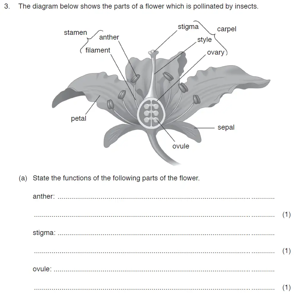 Question 6 - ISEB Level 2 - 13 Plus Biology Exam Paper 2017