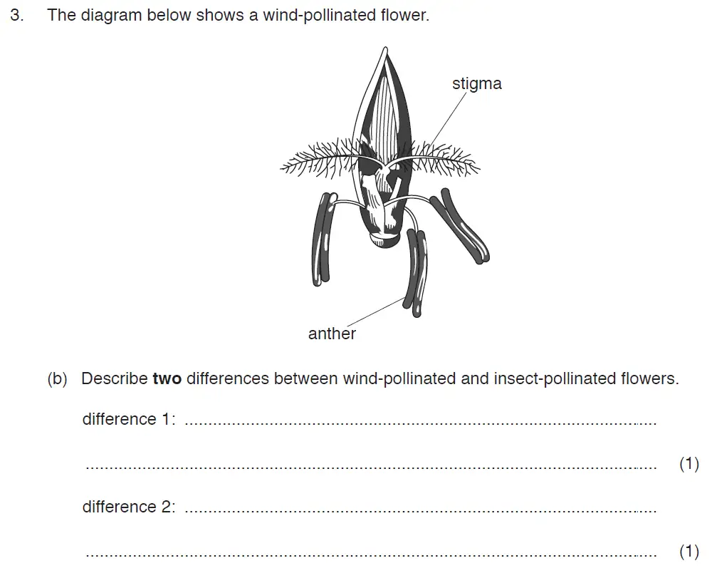 Question 7 - ISEB Level 2 - 13 Plus Biology Exam Paper 2017