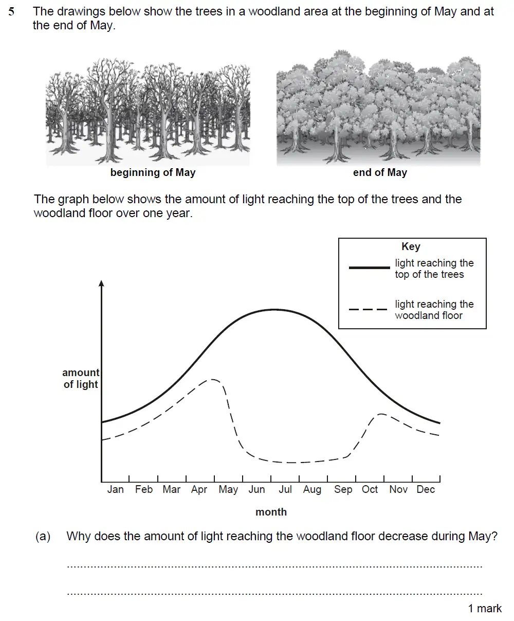 Question 14 - Kings College School - 13 Plus Biology Sample Paper