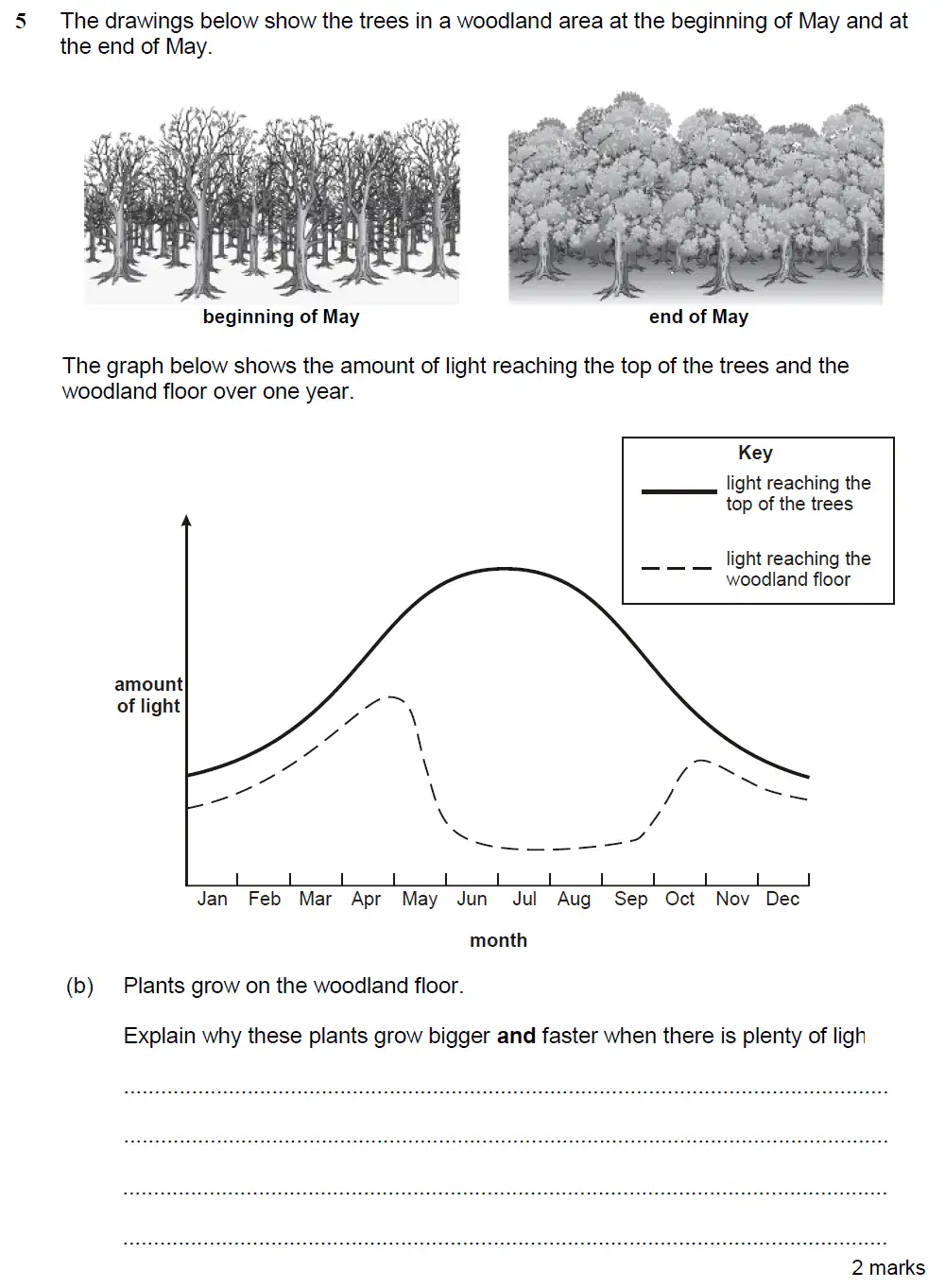 Question 15 - Kings College School - 13 Plus Biology Sample Paper