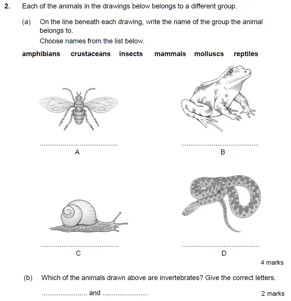 Question 4 - Kings College School - 13 Plus Biology Sample Paper