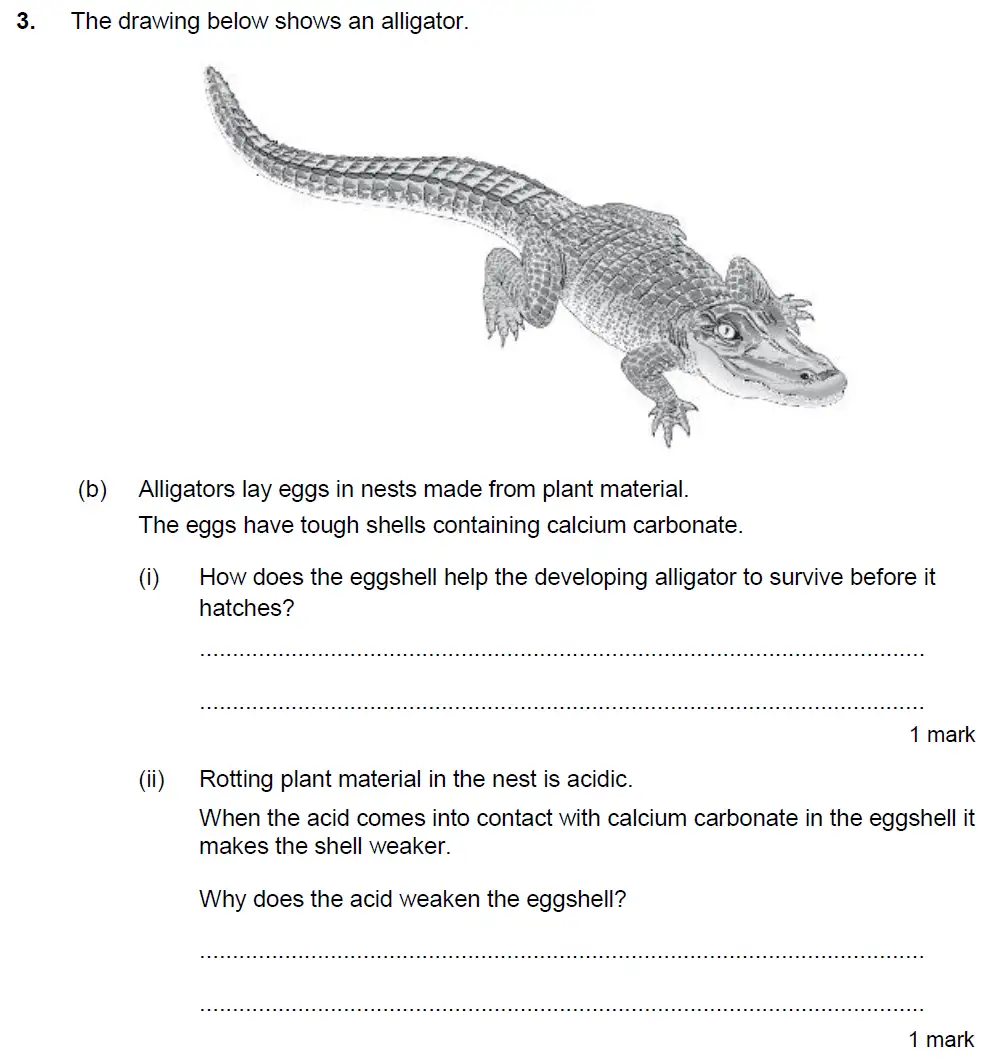 Question 6 - Kings College School - 13 Plus Biology Sample Paper