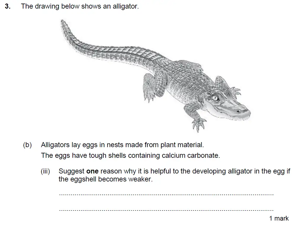 Question 7 - Kings College School - 13 Plus Biology Sample Paper