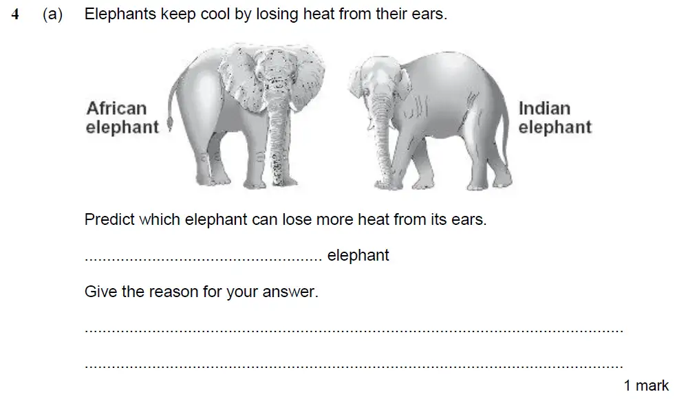 Question 9 - Kings College School - 13 Plus Biology Sample Paper