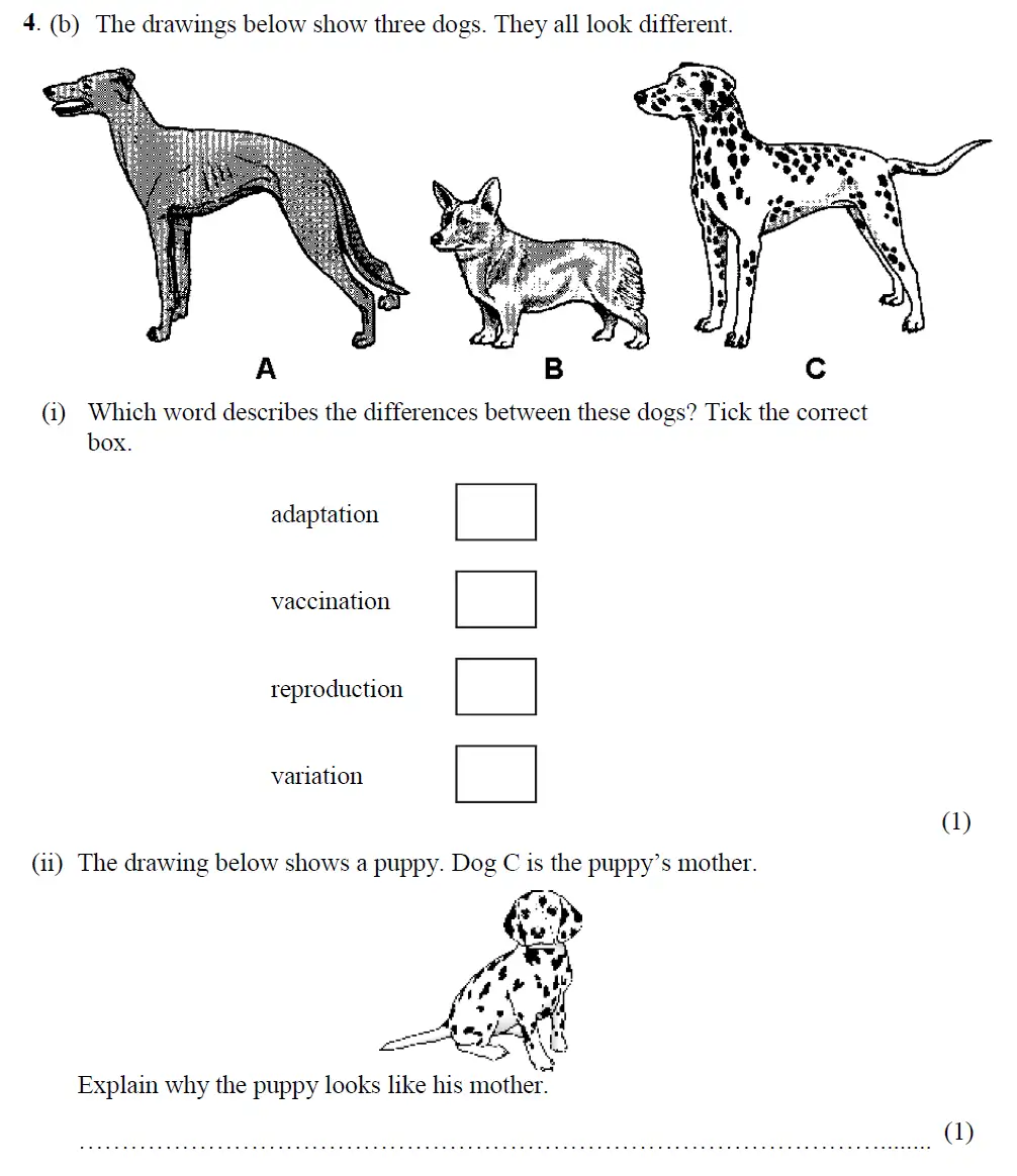 Question 10 - Merchant Taylors School - 13 Plus Biology Exam Paper 2017