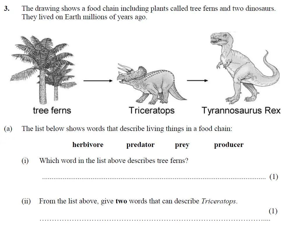 Question 6 - Merchant Taylors School - 13 Plus Biology Exam Paper 2017