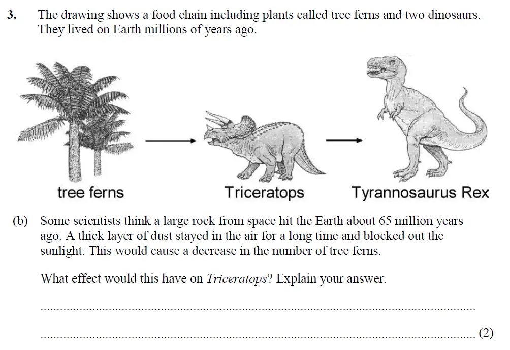 Question 7 - Merchant Taylors School - 13 Plus Biology Exam Paper 2017