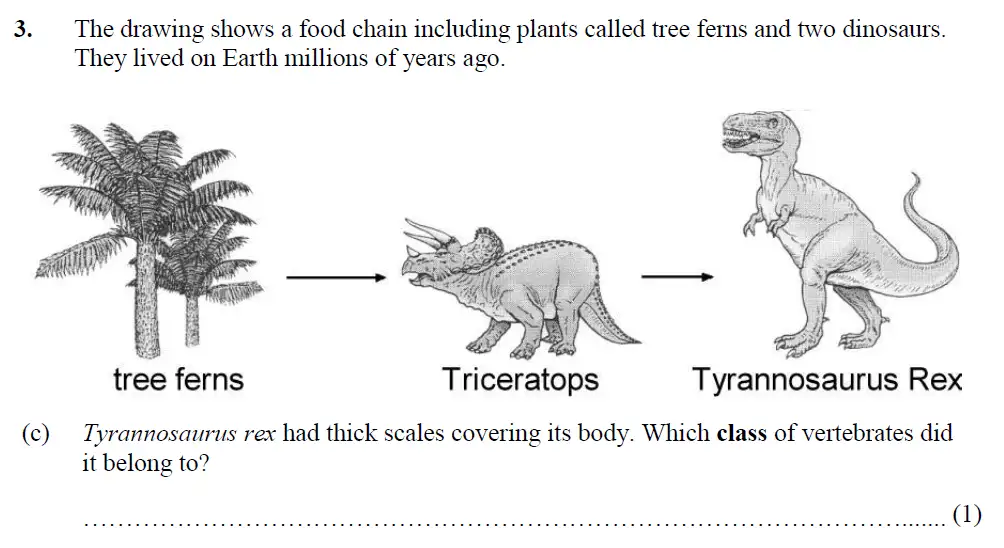 Question 8 - Merchant Taylors School - 13 Plus Biology Exam Paper 2017
