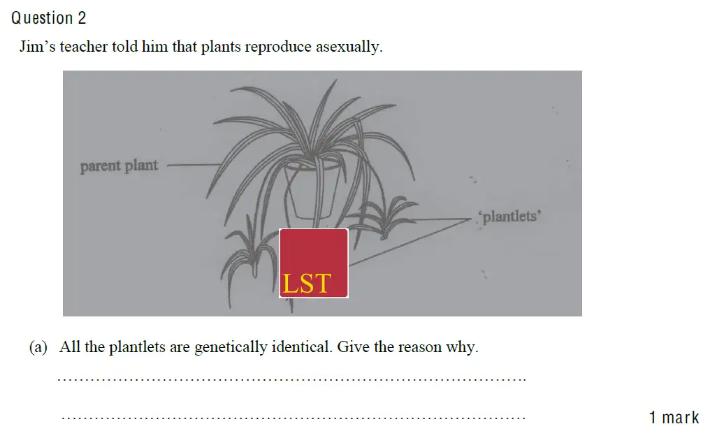 Question 3 - Mill Hill School - 13 Plus Biology Sample Paper 2010
