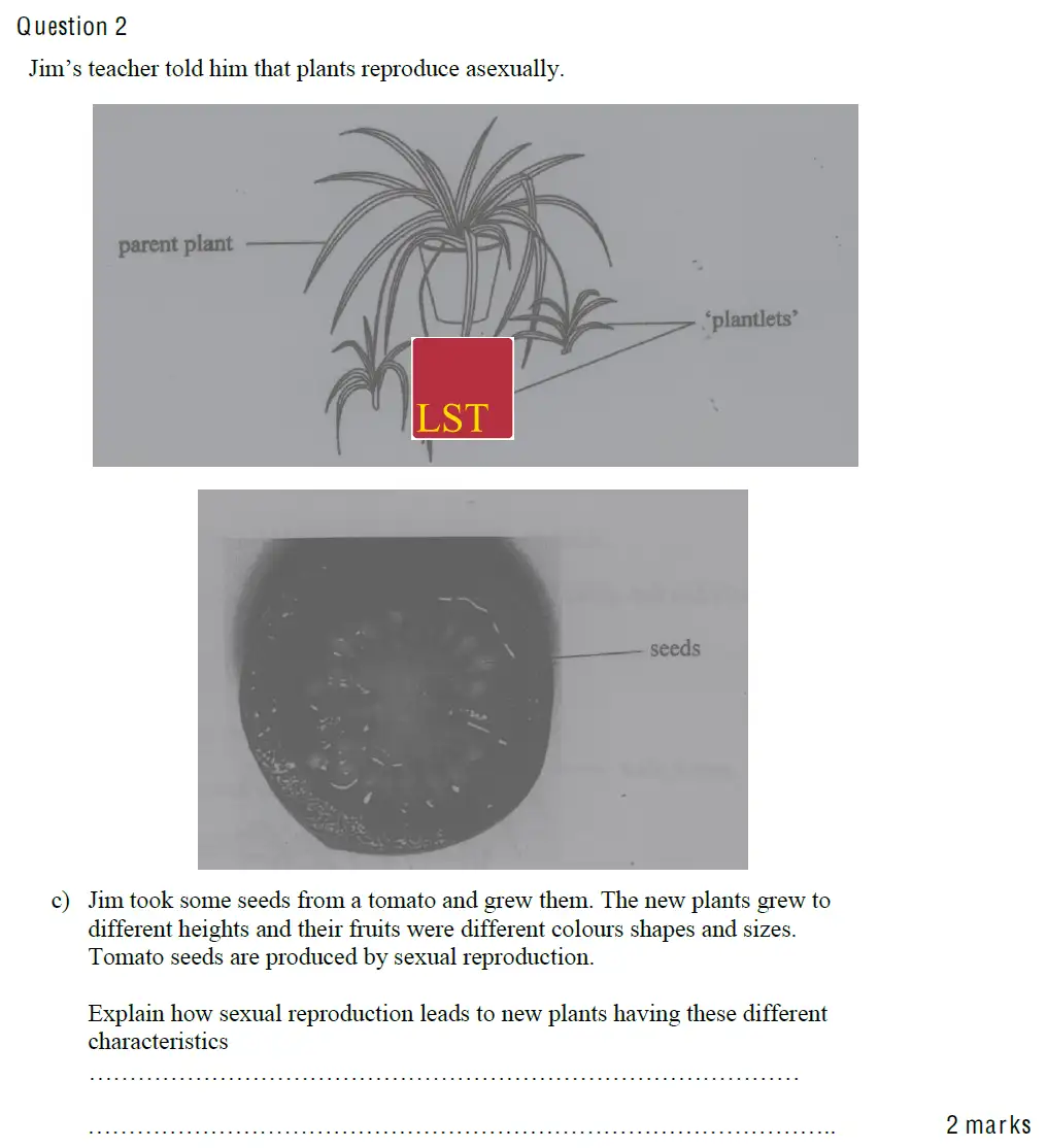 Question 5 - Mill Hill School - 13 Plus Biology Sample Paper 2010