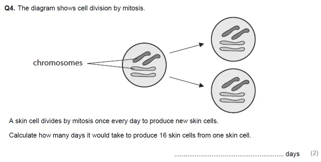 Question 10 - St Edwards Oxford School - 13 Plus Biology Scholarship Sample Paper 2017