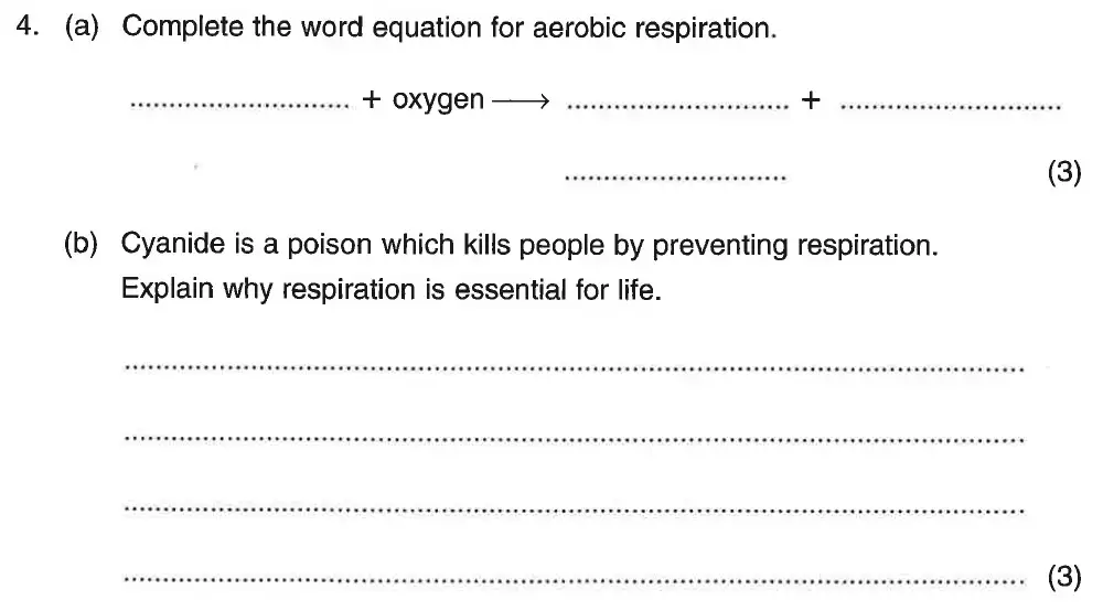 Question 8 - St Georges College Weybridge - 13 Plus Biology Scholarship Exam Paper 2020