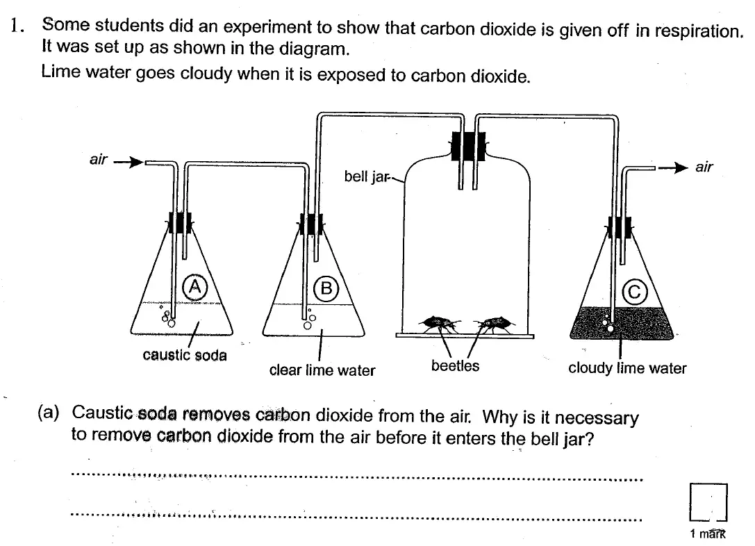 Question 1 - St Georges College Weybridge - 13 Plus Biology Scholarship Exam Paper