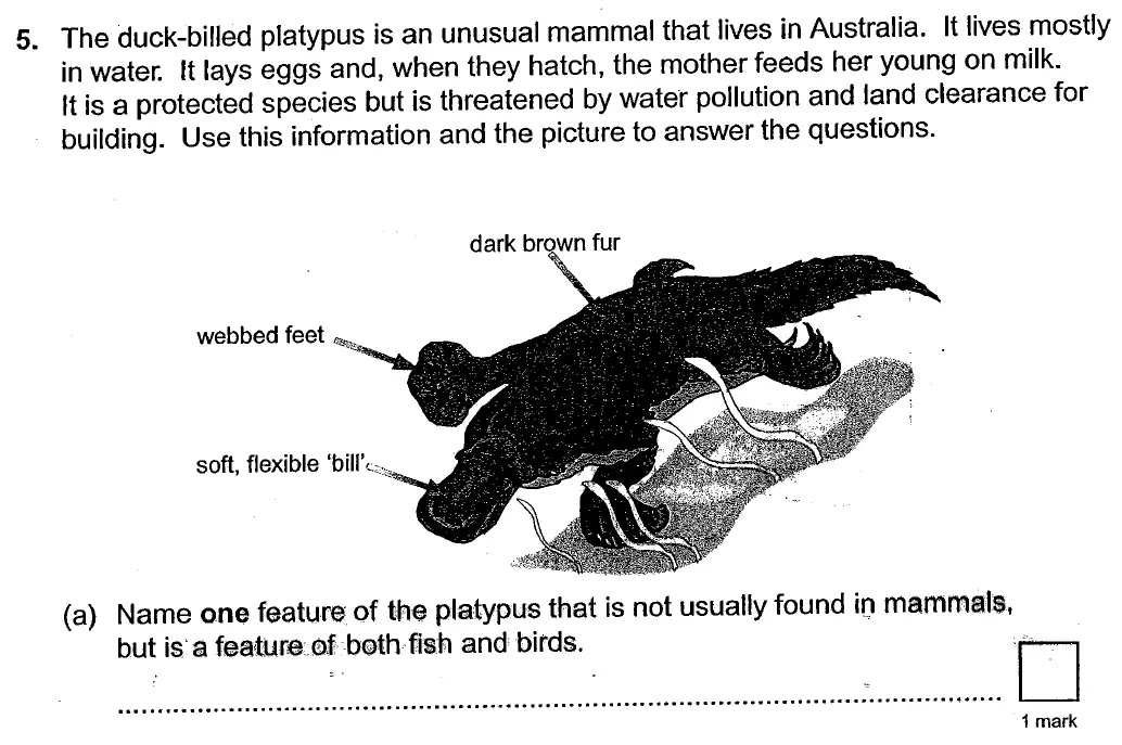 Question 15 - St Georges College Weybridge - 13 Plus Biology Scholarship Exam Paper