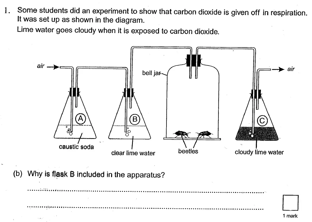 Question 2 - St Georges College Weybridge - 13 Plus Biology Scholarship Exam Paper