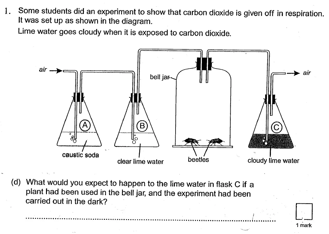 Question 4 - St Georges College Weybridge - 13 Plus Biology Scholarship Exam Paper