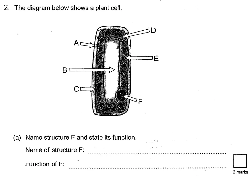 Question 5 - St Georges College Weybridge - 13 Plus Biology Scholarship Exam Paper