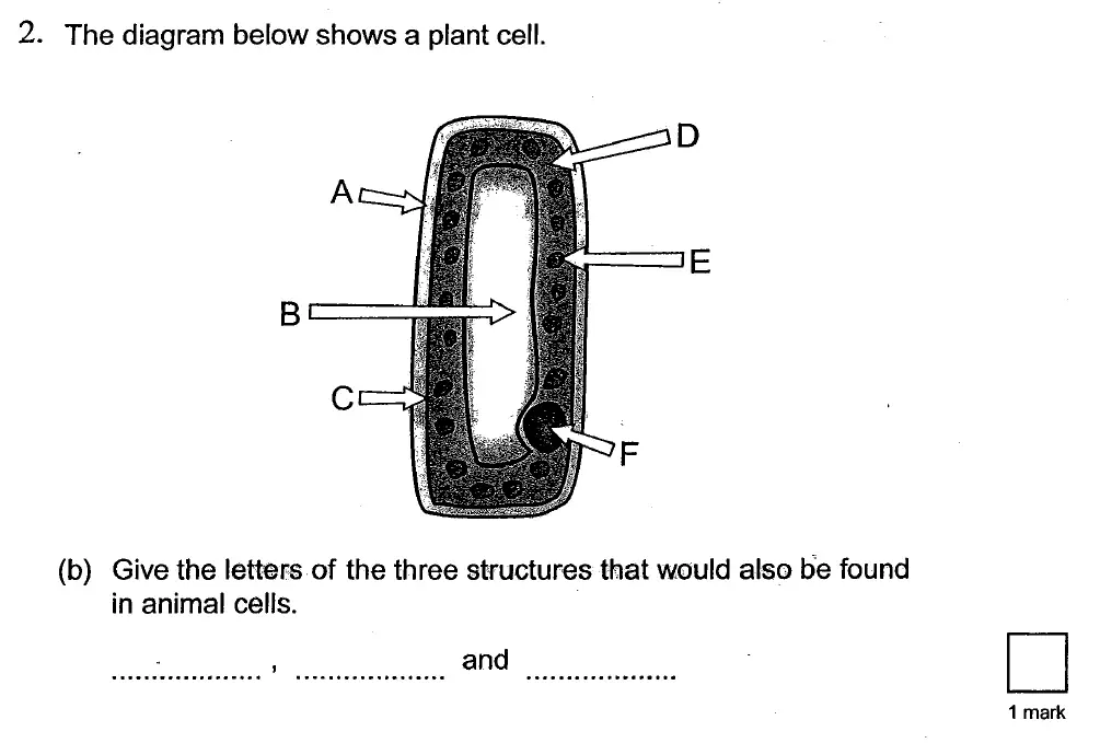 Question 6 - St Georges College Weybridge - 13 Plus Biology Scholarship Exam Paper