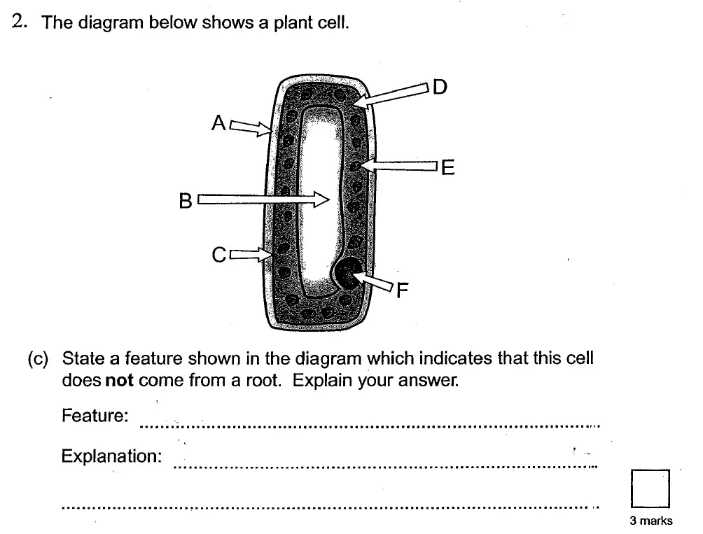 Question 7 - St Georges College Weybridge - 13 Plus Biology Scholarship Exam Paper
