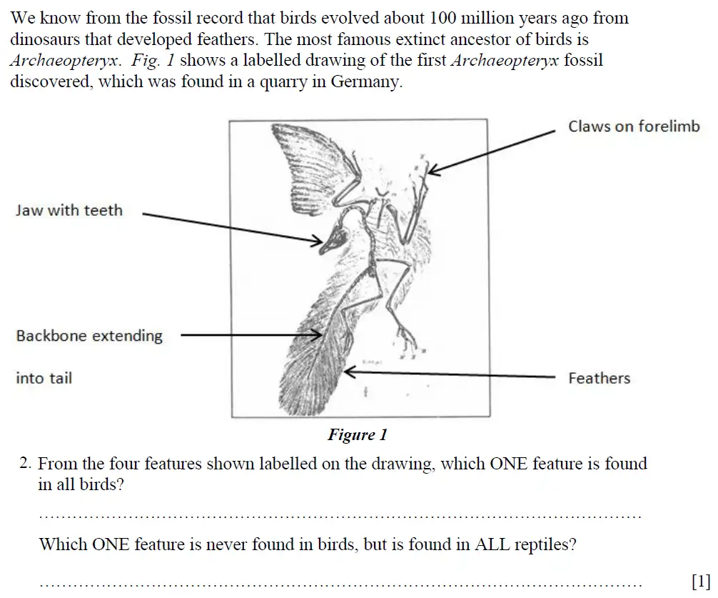 Question 2 - St Pauls School - 13 Plus Biology Scholarship Exam Paper 2015