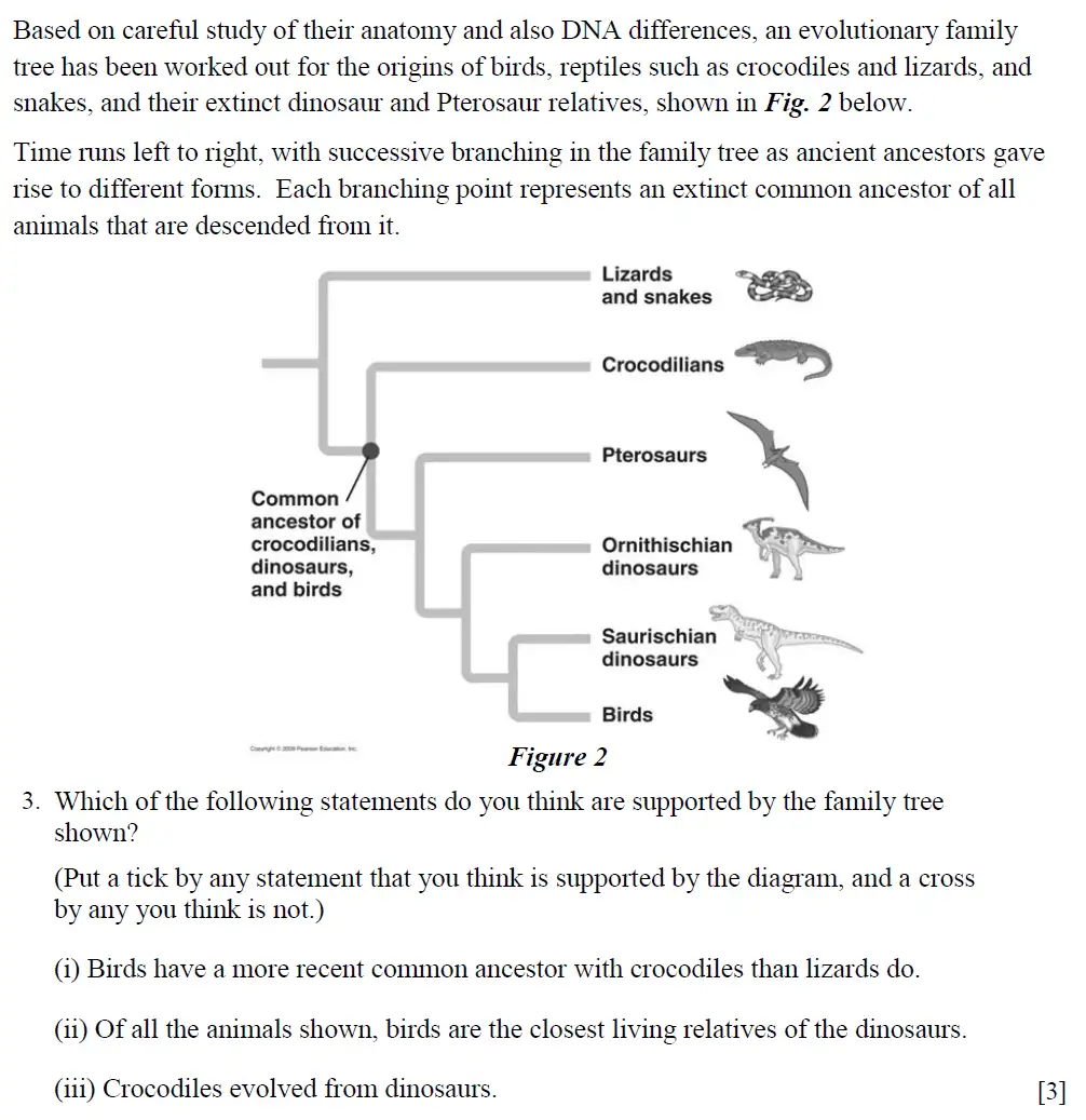 Question 3 - St Pauls School - 13 Plus Biology Scholarship Exam Paper 2015